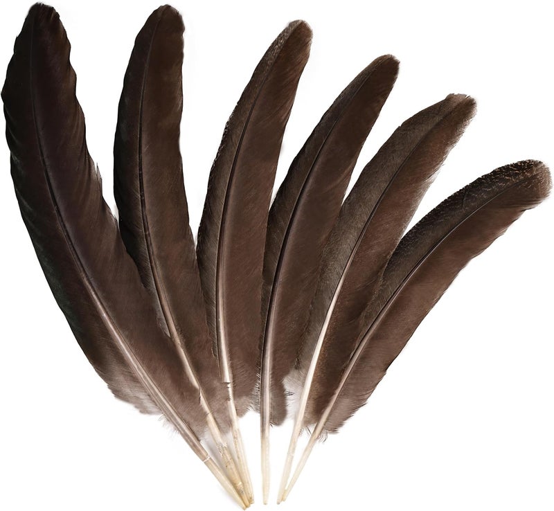 MehelloFeather Store Peacock Wing 11-14 Inch Natural Feather 6 Pcs Crafts for DIY Home Decoration Wedding Centerpieces Party Supplies - Image 1
